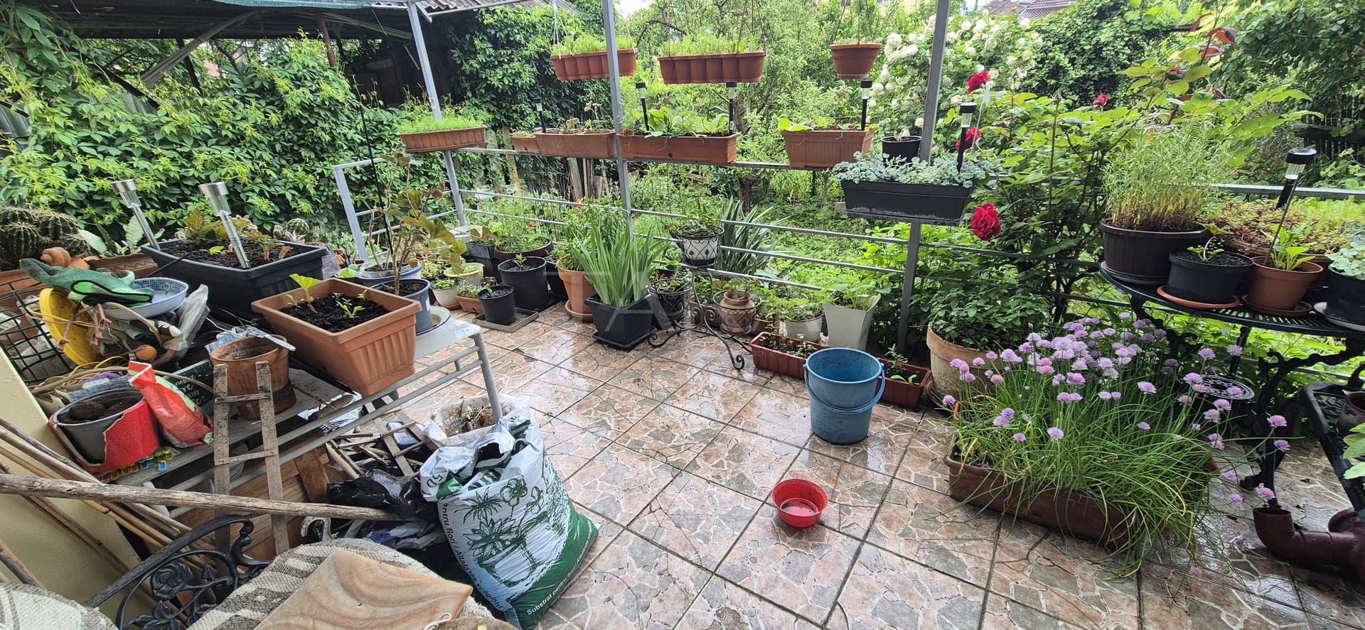 Casa individuala retrasa de la traficul cotidian - Poză 1