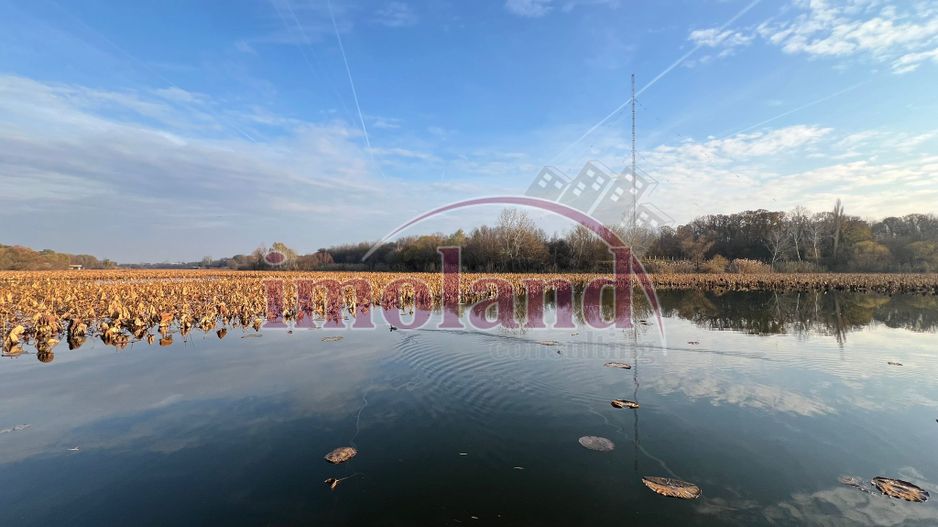 Marina Snagov - Vanzare - Vila NOUA - 5 camere - ponton la Lacul Snagov - Poză 31