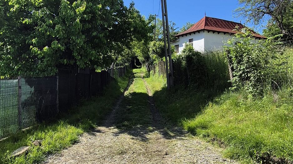 Teren intravilan 1290 mp Plaiu-Provita de Sus - Schiță 16