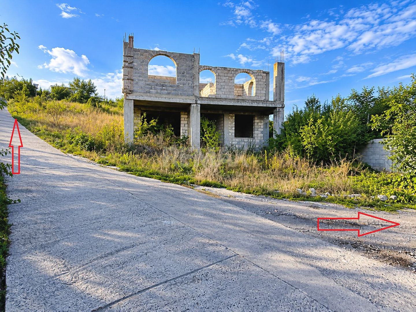 LOT POMICOL DE VÂNZARE – 5,7 ARI | IALOVENI  Î.P. „Floare-Carpet - Poză 3