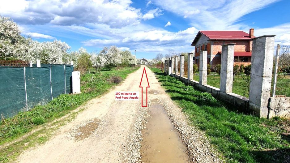 0%comision - Teren Tancabesti ingradit - Poză 2