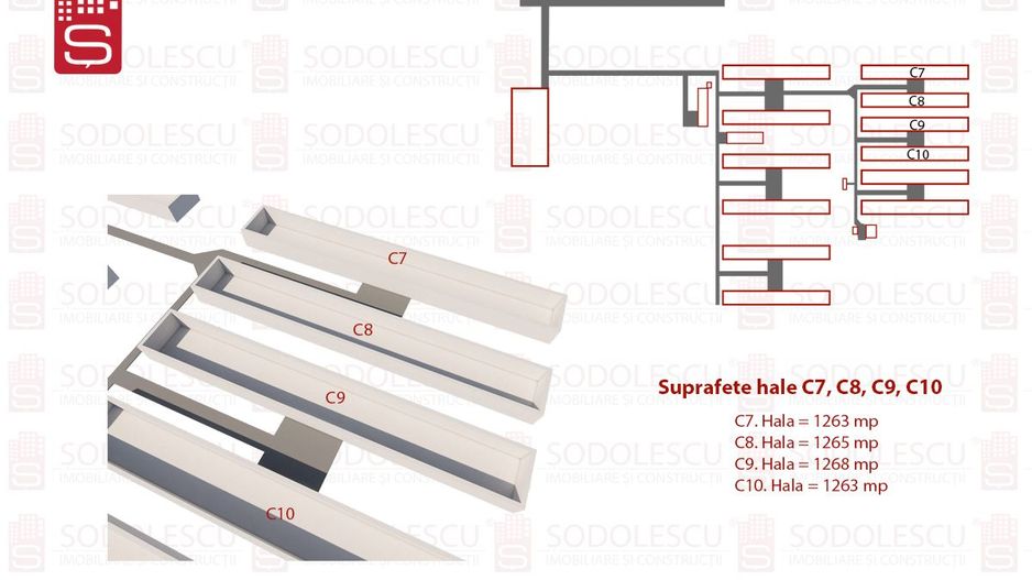 Vanzare hale Mosnita Noua-fosta Ferma 7 - Poză 6