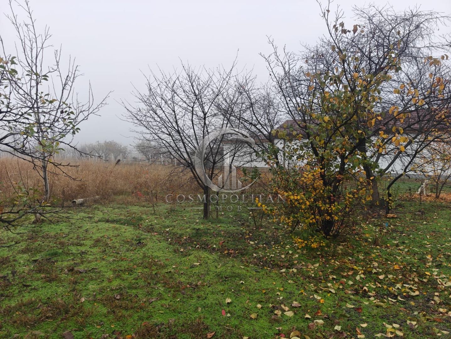 Teren intravilan 12.511 mp | Potoceni – Mărăcineni | Ideal pentru dezvoltare rez - Poză 6