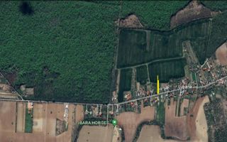 CIOLPANI  - DC 101 C, vanzare 1.600 mp. teren cu pozitie excelenta - Poză 4