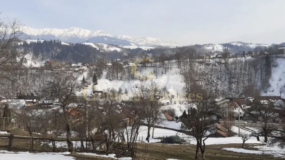 Teren Moieciu de Jos - Poză 4