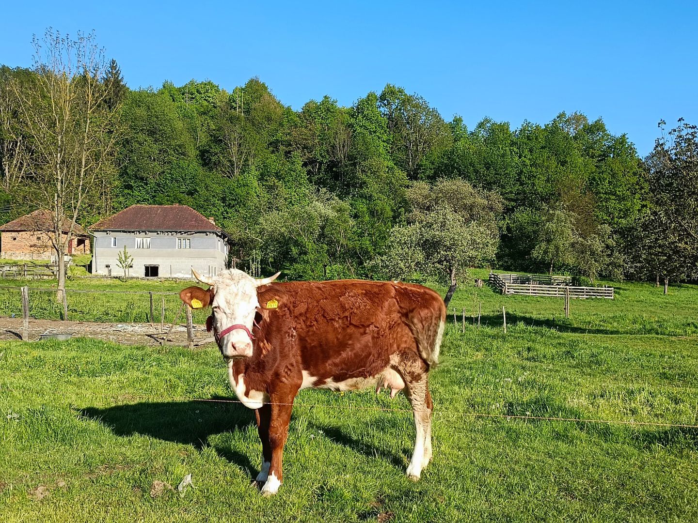Descoperă căsuța ta de vis la poalele Munților Apuseni - Poză 1
