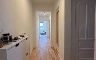 3 camere decomandate, Zona Big, Mehedinti, Manastur - Poză 13