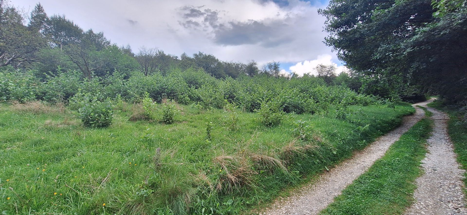 Bran-Predelut doua parcele de 2000+3000mp pret 25 euro/mp - Poză 2