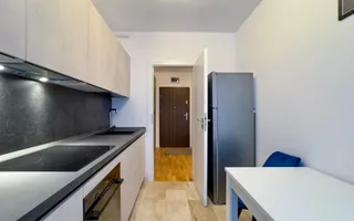 Apartament 3 camere, Parcare, zona Iulius Mall Park Lake - Poză 16