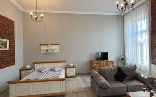 Apartament cu o camera în clădire istorică ,zona Maria - Poză 16