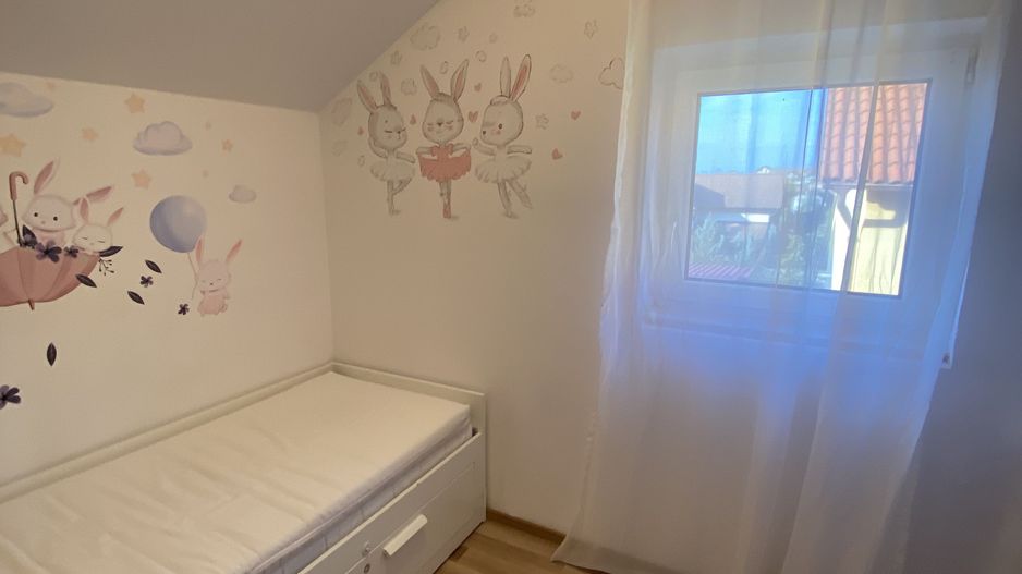 Cochet la intrare in Dumbravita - Poză 9