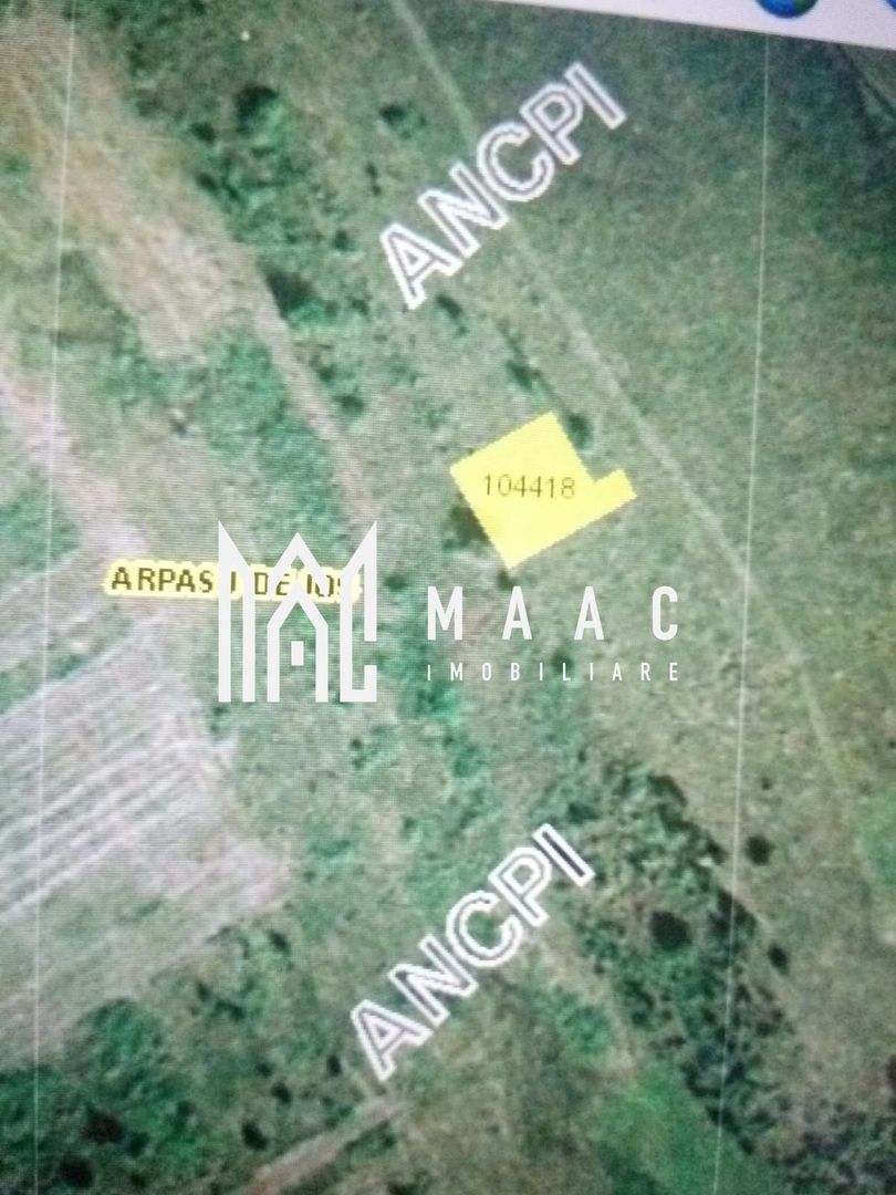 TEREN 4500 MP I PARC FOTOVOLTAIC I ARPASUL DE SUS - Poză 9