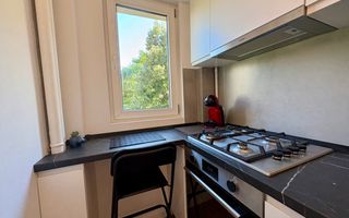 APARTAMENT 2 CAMERE - ELEGANTA & EFICIENTA in Piata Victoriei - Poză 21