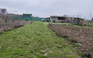 TEREN INTRAVILAN DE VANZARE PALEU - Poză 10