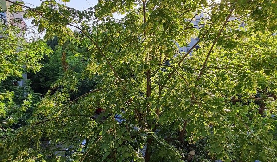 Apartament Mobilat la Cerere | Baneasa | Herastrau - Poză 9