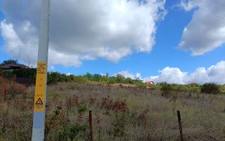Teren intravilan 500 mp – Tomești, Chicerea – utilități, parcelat - Poză 5