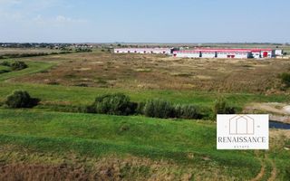 Teren PUZ Aprobat Pretabil Hale | 55.000mp - Park Industrial Sanandrei - Poză 8