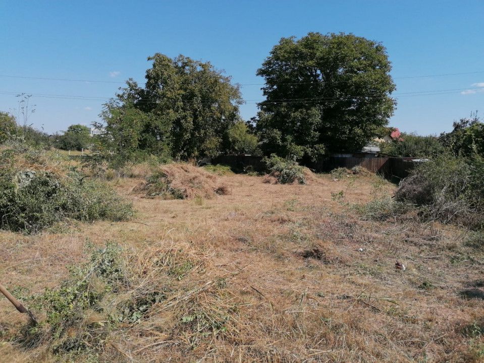 Vanzare teren intravilan, Calea Campulung, zona Cora - Poză 5
