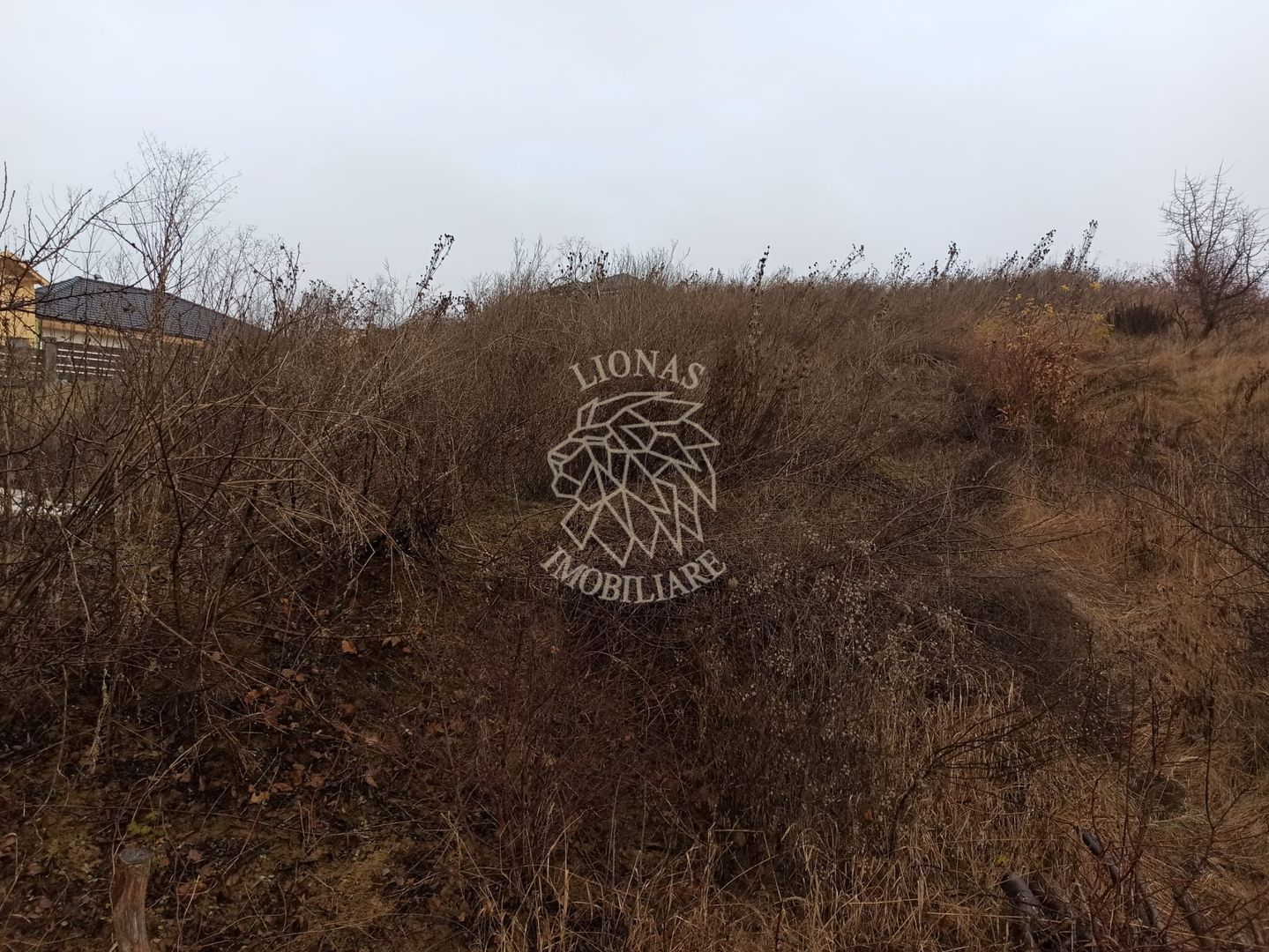 Teren intravilan 600 mp-ideal casa-Valea Sigmirului - Poză 5