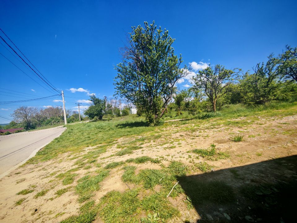 Teren intravilan 2.000 mp in Mioveni – Ideal pentru casa sau investitie! - Poză 3
