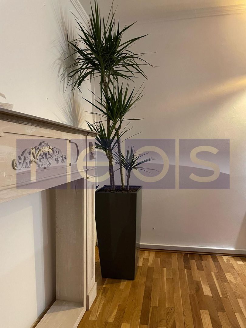 INCHIRIERE SPATIU IN VILA |  DOROBANTI | IDEAL STUDIO-CLINICA-BIROU - Poză 16