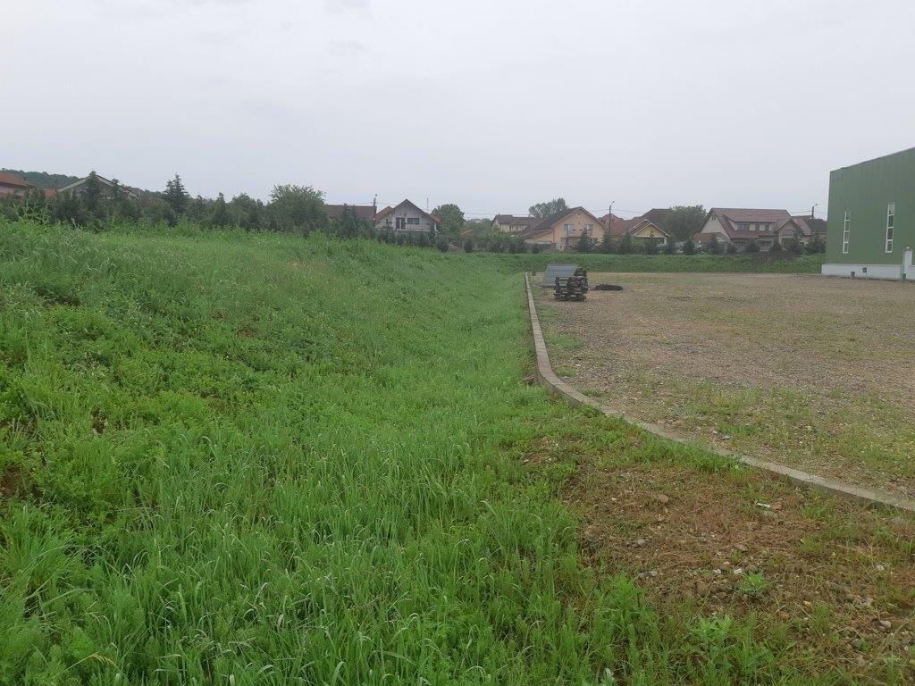 Hala de productie + birouri in Oradea - Poză 18