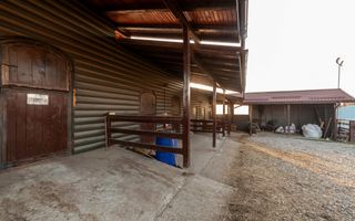 Inchiriere - Centrul de Echitatie Andaluz - Ciocanai, Jud. Arges! - Poză 9