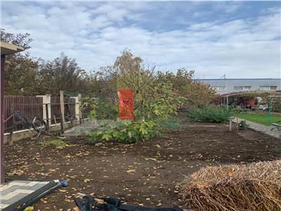 Vanzare  Teren  Pipera - Poză 1