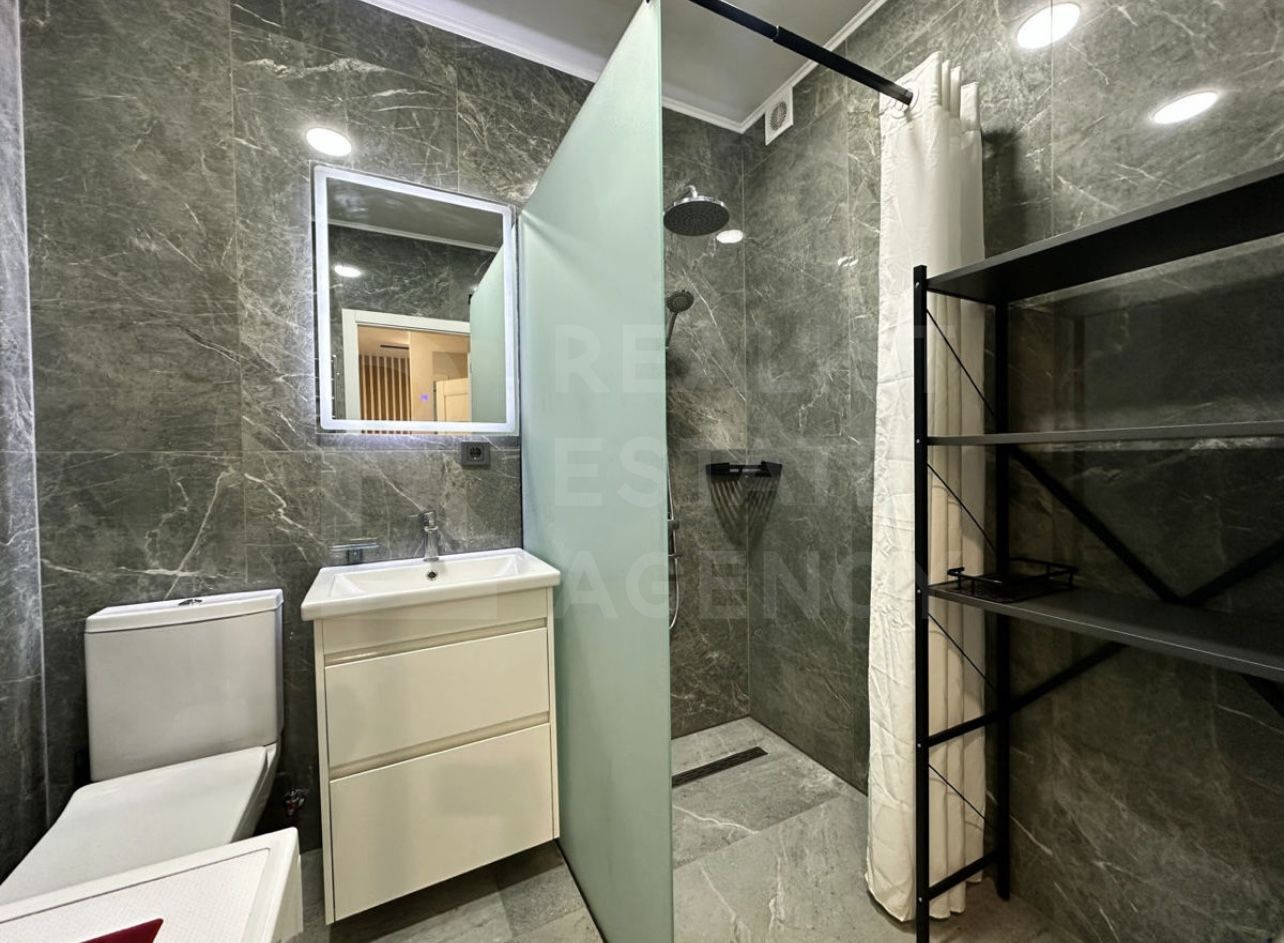 Chirie, apartament, 1 cameră, str. Nicolae Testemițanu, Centru - Poză 7