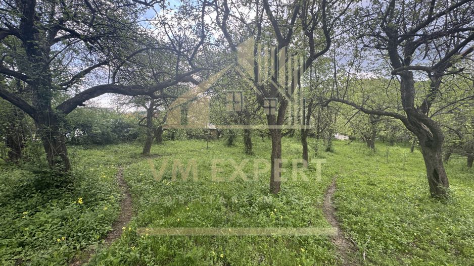 TEREN INTRAVILAN 7018 MP CAMPULUNG - Poză 21