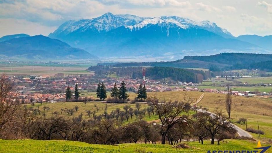 Oportunitate pentru constructie casa, 750 mp, Cristian, Brasov - Poză 14