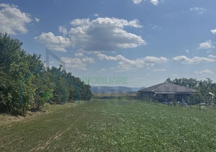 Teren intravilan Aroneanu - Poză 3