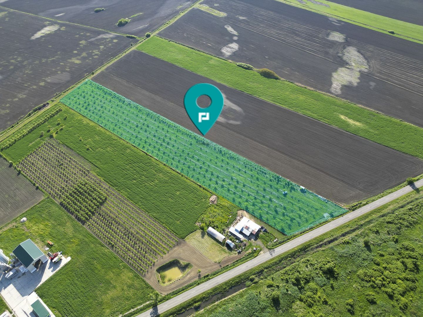 Livadă de nuci și pruni 2.4ha în Variașul Mare - Poză 1