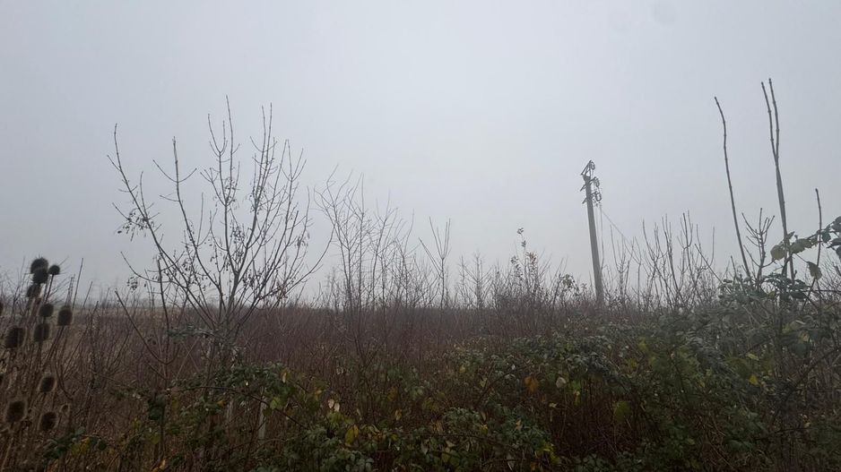 COMISION 0 | Teren intravilan | 17.700 mp | Zona Freidorf - Poză 2