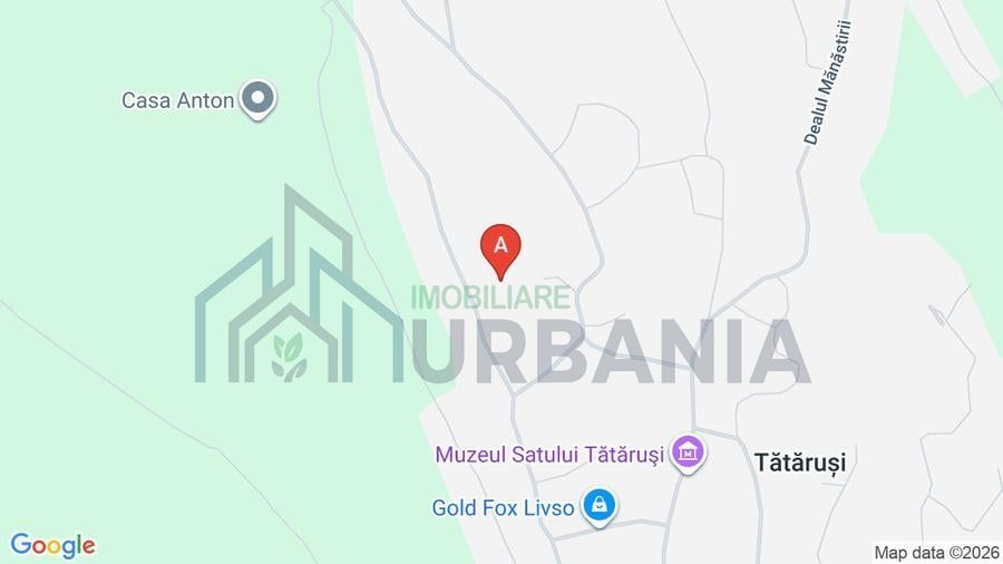 Teren intravilan 2,5 ha cu prelungire în extravilan, Tătăruși, jud. Iași - Poză 1