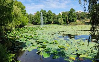 2 camere vedere Parcul Circului - parter | Lacul Tei-Barbu Vacarescu - Poză 11