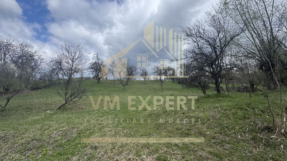 TEREN INTRAVILAN 4365 MP POENARII DE MUȘCEL  JUDEȚUL ARGES - Poză 9