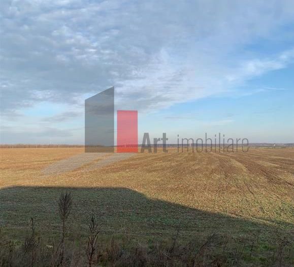 Teren 10000 mp Pipera - Voluntari - Poză 1