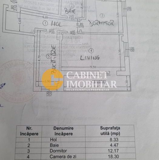 APARTAMENT DE VINZARE 2 CAMERE COPOU - Poză 6