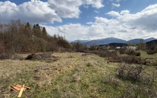 Teren Intravilan I 4000 mp I Zona Turistica Porumbacu de sus - Poză 4