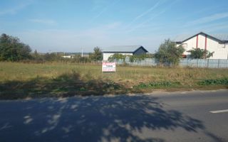 Teren de vânzare în Dascalu, judet Bucuresti Ilfov - Poză 11