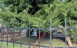 EXCLUSIVITATE | COMISION 0% | Casă 479 mp – ideală clinică medicală / activități - Poză 6