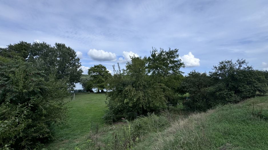 Hotel 25 camere 100 m deschidere DELTA DUNARII teren 12000 mp acces auto - Poză 14