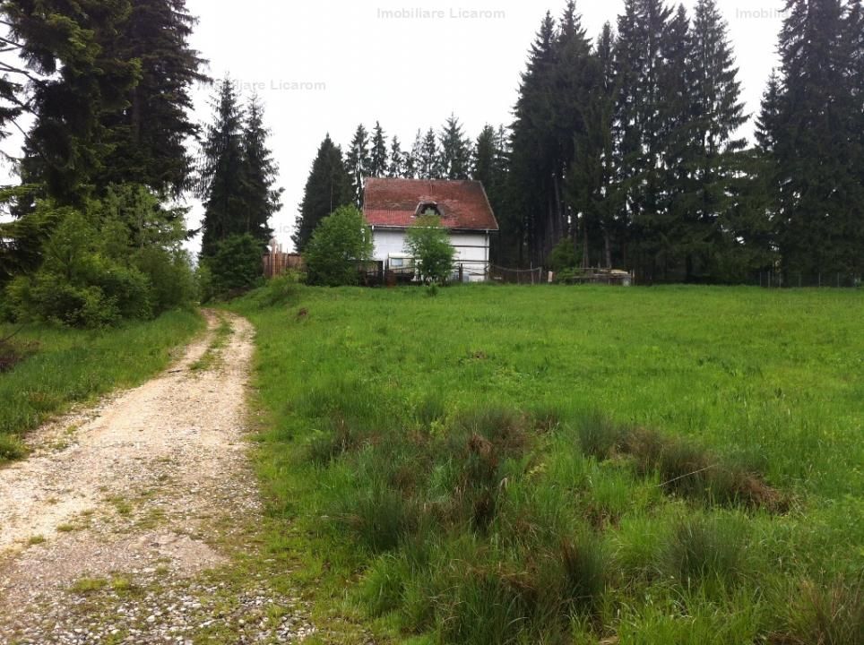 Teren intravilan Cotul Donului,pretabil Hotel/pensiune. - Poză 15