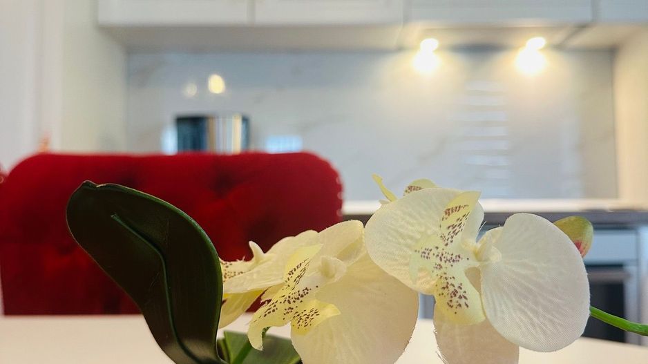 2 camere | 2 locuri de parcare - Dumbravita - Poză 5