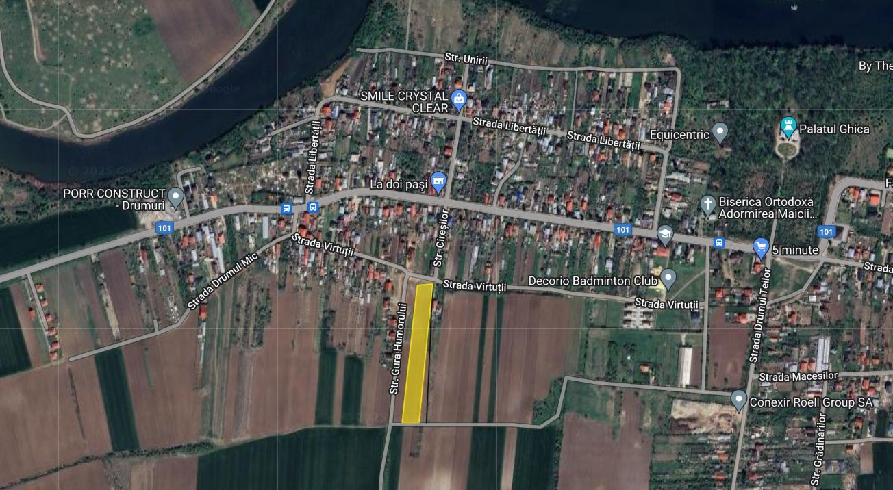 7800 mp, Intravilan,deschidere 30 m, Caciulati - Poză 2