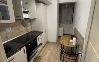 Inchiriez apartament 2 camere decomandat, Lidl Tatarasi, Newton - Poză 5