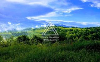 CASĂ și TEREN 85.000 mp – Casa părintească Părintele Arsenie Boca - Poză 10