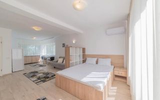 Studio modern, 36mp, zona strazii Observatorului - Poză 1