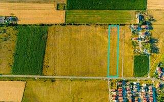 Teren de 1.3ha situat în Livada - Poză 3